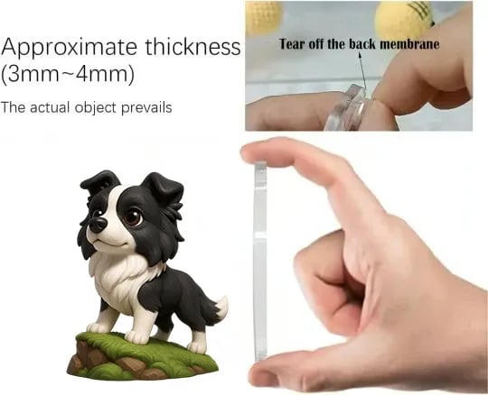 🐾 Border Collie | Calendario de Adviento 2025