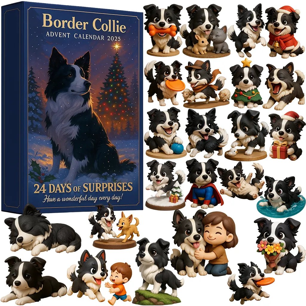 🐾 Border Collie | Calendario de Adviento 2025