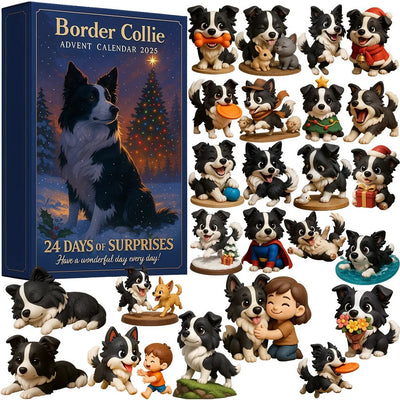 🐾 Border Collie | Calendario de Adviento 2025