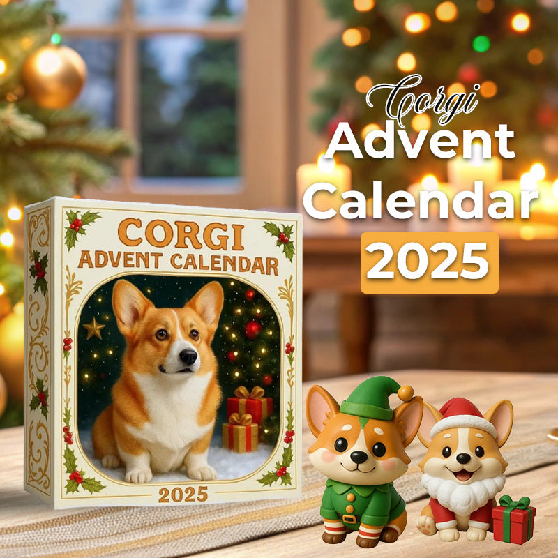 Corgi | Calendario de Adviento 2025