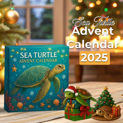 Calendario de Adviento de Tortuga Marina 2025