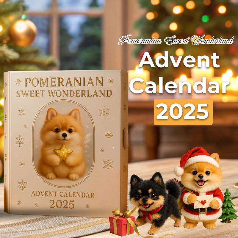 Maravilla Dulce de Pomerania | Calendario de Adviento 2025